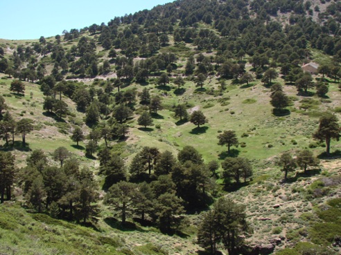 Sierra de Baza Sierra de Baza