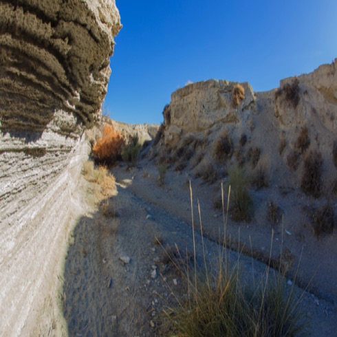 The desert