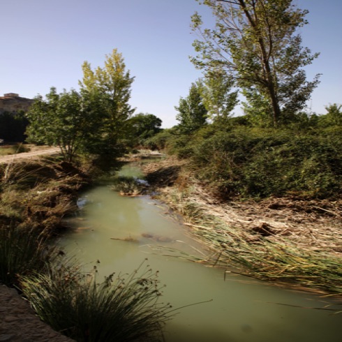 The River