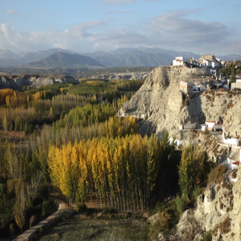 View from village