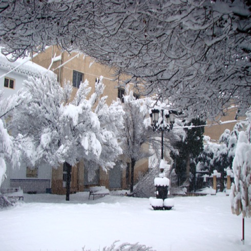 A rare heavy snowfall in the Winter A rare heavy snowfall in the Winter
