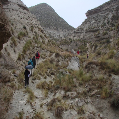 Desert walk