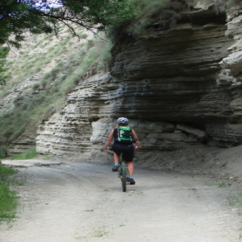 Mountain biking heaven!
