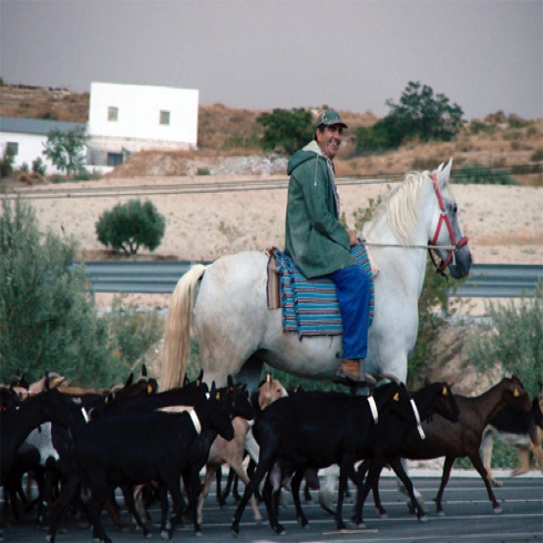 Local Goat Man