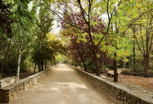 Spectacular Castril river walk