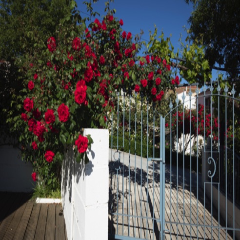 Rear gates 'C' 'B' (Casa Britannia)