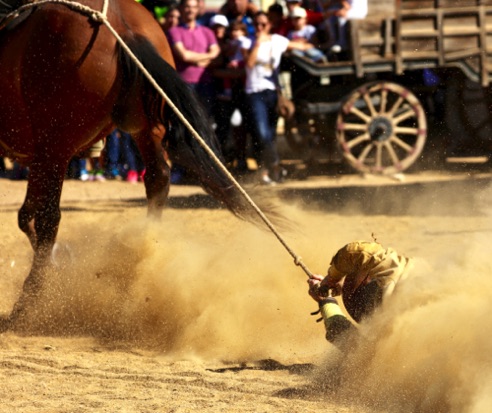 Western cowboy show.