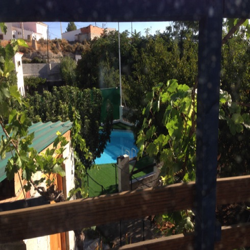 Pool from upper decking past tool shed